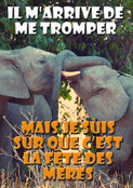 Il m'arrive de me tromper, mais c'est bien la f&ecirc;te des m&egrave;res